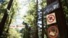 Bay Area Techies Unplug at 'Digital Detox' Camp