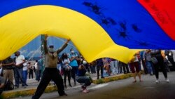 Venezuela: Previa elecciones 21N
