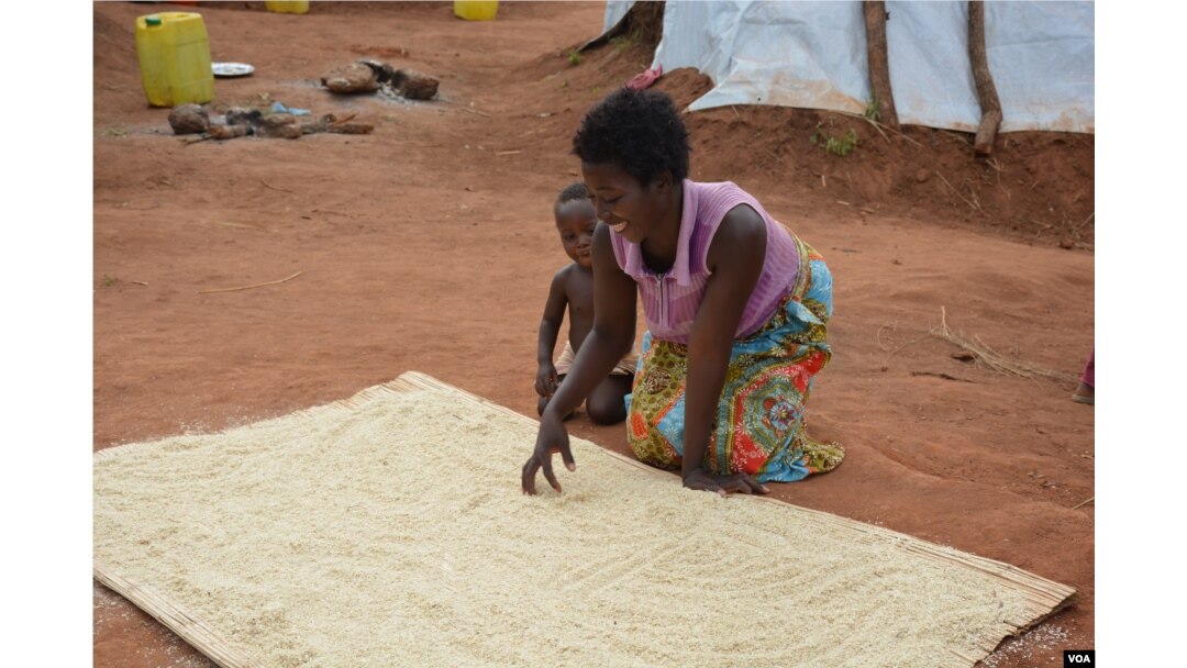 A woman in Souther district of Mwanza dries maize husks in the sun, readying them for milling. (L. Masina/VOA)