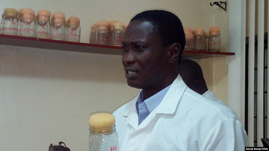 PLATEAU: Taron binciken magunguna
