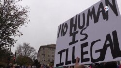 Soñadores encuentran apoyo en Washington