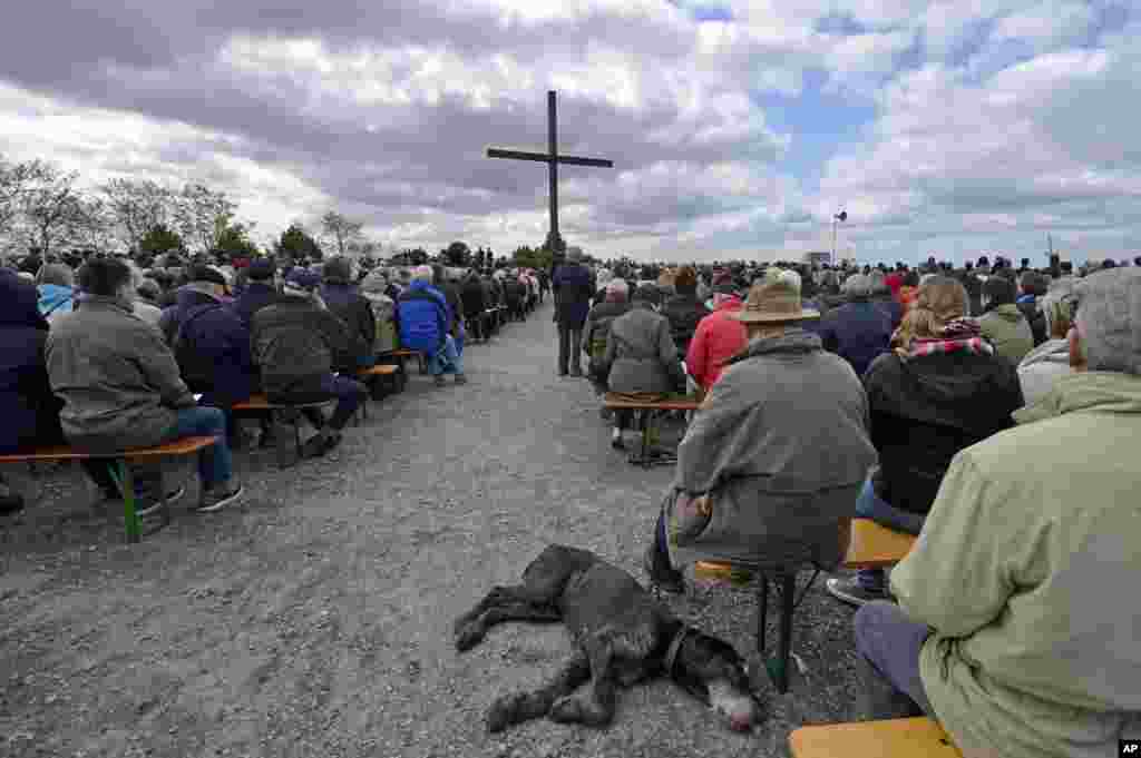 A dog sleeps on the ground during a church service at the peak of a coal mine dump in Bottrop, Germany, on Good Friday, April 18, 2014. 
