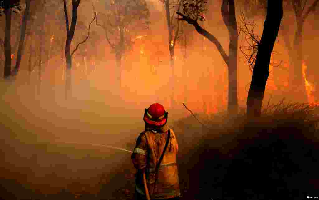 A New South Wales (NSW) Rural Fire Service firefighter sprays water on a bushfire in the suburb known as Salt Ash, located north of Newcastle in Australia.