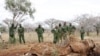 US Interior Secretary to Help Fight African Wildlife Trafficking