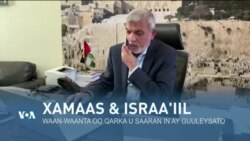 Qubanaha VOA