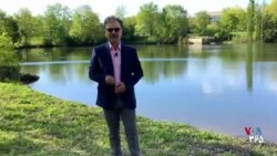 ویژه برنامه: ندای زن ایرانی در زخمه‌های تار؛ از جایزه گرمی تا اجرا در کاخ سفید
