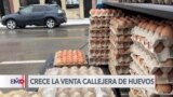  Crece la venta callejera de huevos en las calles de Chicago