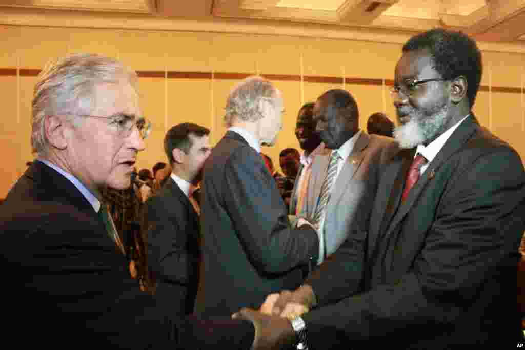 Unidentified members of the delegation from the South Sudan government and western observers meet at the Sheraton Hotel, Addis Ababa, Ethiopia, January 4, 2014.