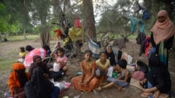 ລາຍການກະຈາຍສຽງຂອງວີໂອເອລາວ: ຊົນເຜົ່າພື້ນເມືອງ ອໍຣັງ ຣິມບາ ຂອງອິນໂດເນເຊຍ ຄົ້ນພົບພັນທະມິດ ໃນການດິ້ນຮົນ ເພື່ອຄວາມຢູ່ລອດ