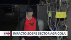 Deportaciones generan incertidumbre en industria agrícola de California