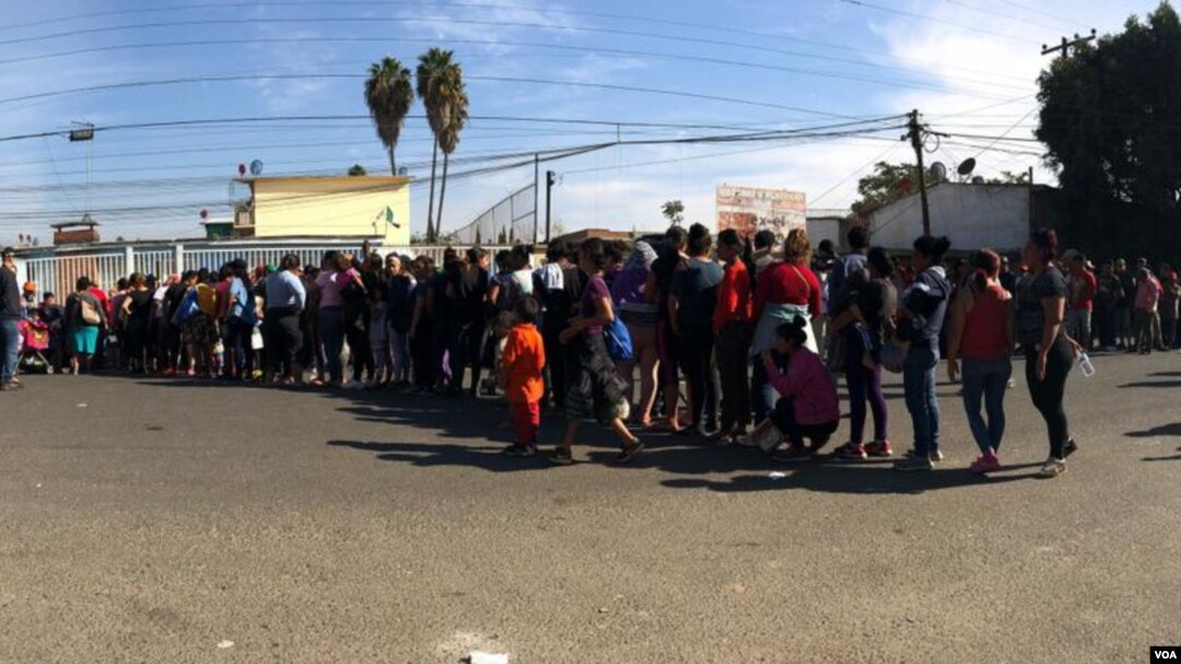 Miembros de la caravana, hacen fila para recibir comida, en Tijuana. Celia Mendoza - VOA 