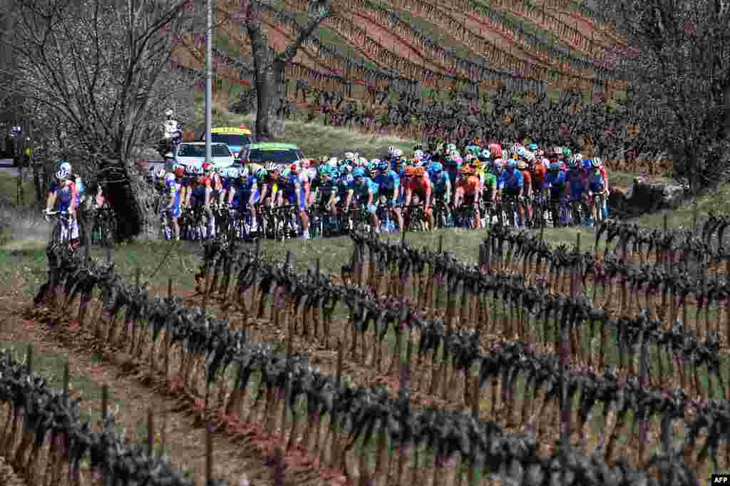 The pack rides during the 176,5km 6th stage of the 77th Paris-Nice cycling race stage between Peynier and Brignoles, in France.
