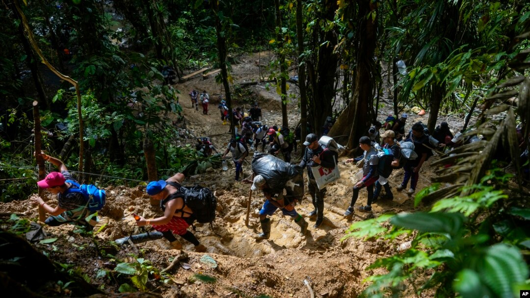 El tapón del Darién, la peligrosa selva que atraviesan cientos de migrantes, el sábado 15 de octubre de 2022. [ARCHIVO]