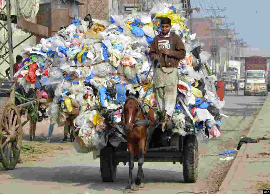 A Pakistani boy on a horse-driven cart in Lahore carries plastic bags filled with waste.
