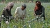 Afghan Taliban Struggle Financially Since Leader’s Death