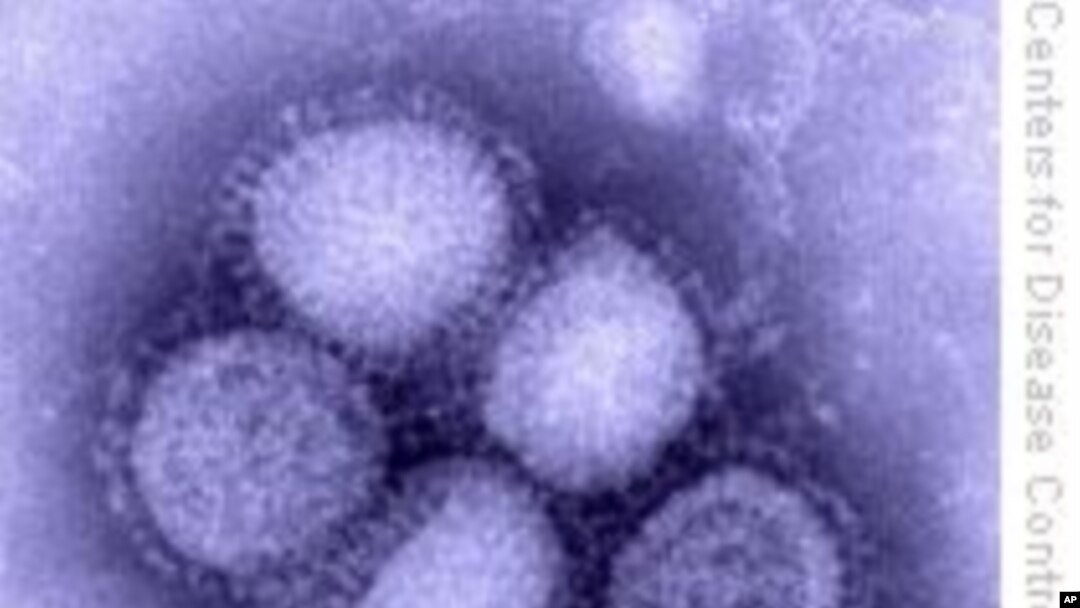 Health Officials Warn of Sicker Swine Flu Patients