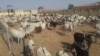 ‘Yan Sanda Sunyi Nasarar Kashe Barayin Shanu A Jihar Bauchi.