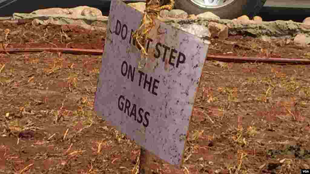 "Usikanyage kwenye majani" unasomeka ujumbe kando ya barabara ya Uhuru Highway mjini Nairobi, Kenya. 