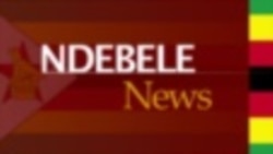 Inhloko zeNdaba zeStudio Seven NgoLwesine 24 Mpalakazi 2015