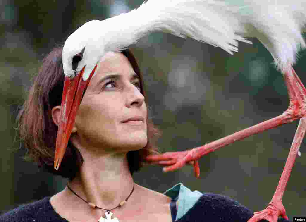 Birds trainer Valerie Recher trains a stork in Frouzins near Toulouse, France.