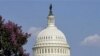 Congressional Panel Reexamines Aid to Palestinians