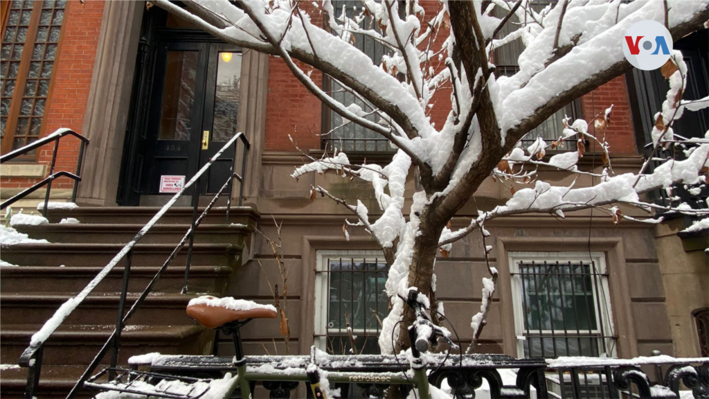 La primera nevada de 2022 en Nueva York adorna los árboles. 