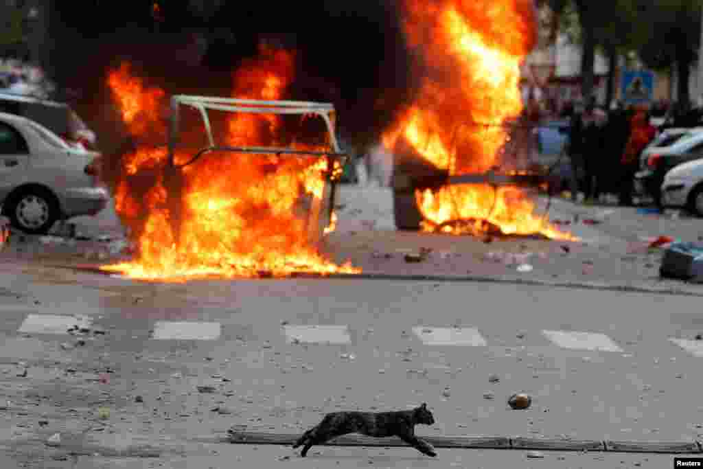 A cat runs past burning barricades during a metalworkers' strike in Puerto Real, near Cadiz, Spain.