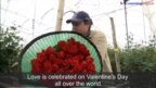 Love Finds a Way