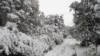 16x9 Image