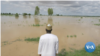 Nigeria Loses a Quarter of Rice Production to Floods 