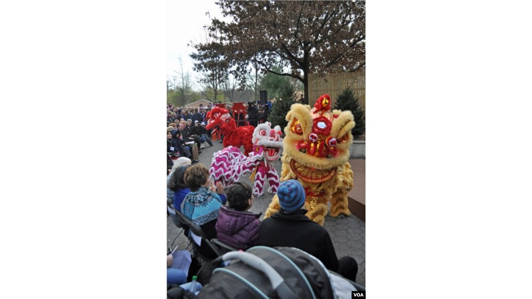 Lion dancers at the panda naming ceremony at the National Zoo, Washington, Dec. 1, 2013. (David Byrd/VOA)