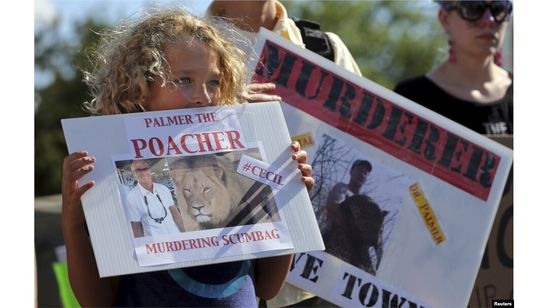 FILE - Protesters hold signs during a rally outside the River Bluff Dental clinic against the killing of a famous lion in Zimbabwe, in Bloomington, Minnesota, July 29, 2015.