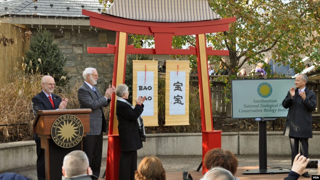 National Zoo Director Dennis Kelly and Chinese Ambassador Cui Tiankai attend the panda naming ceremony at the National Zoo, Washington, Dec. 1, 2013. (David Byrd/VOA)