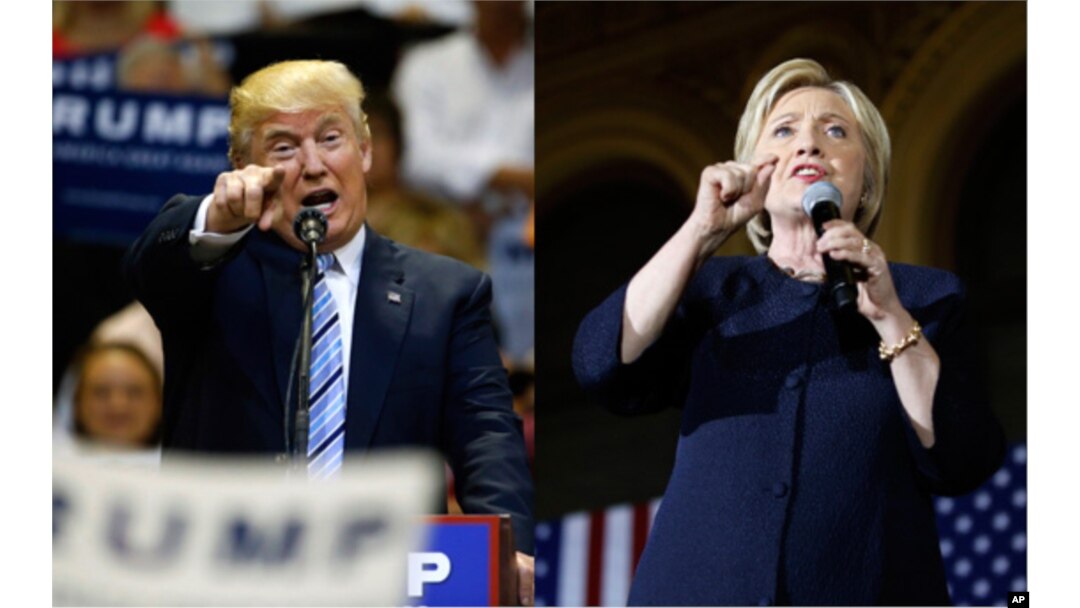 Both Republican Donald Trump and Democrat Hillary Clinton have met some criticism from fact checkers.