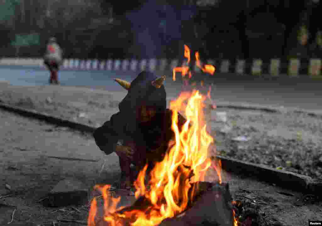 A child sits next to a campfire on a cold winter morning in New Delhi, India.