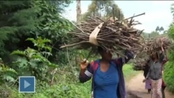 África Agora: Paulina Chiziane diz que “a mulher é que segura África”