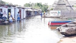 Murisanga