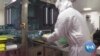 Experts Try to Debunk Myths About COVID Vaccines 