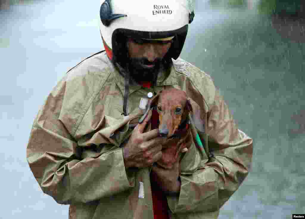 A man covers his dog as he wades through a water-logged road during heavy rains in Chennai, India.