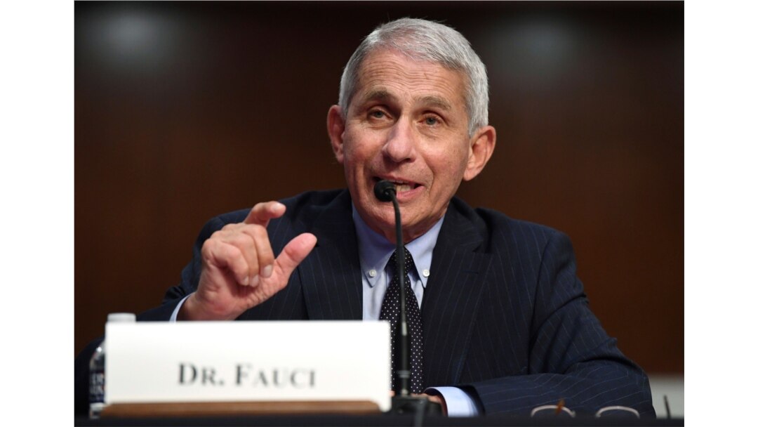 FILE - Dr. Anthony Fauci, director of the National Institute for Allergy and Infectious Diseases, testifies before a Senate Health, Education, Labor and Pensions Committee hearing on Capitol Hill in Washington, June 30, 2020.
