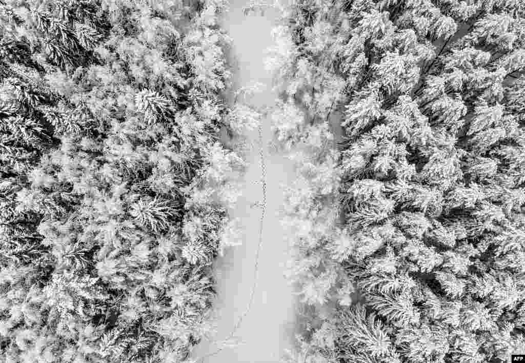This aerial photo shows footprints along the ice on a frozen river in a forest during snowfall near the village of Troitskoye, outside of Moscow, Russia.