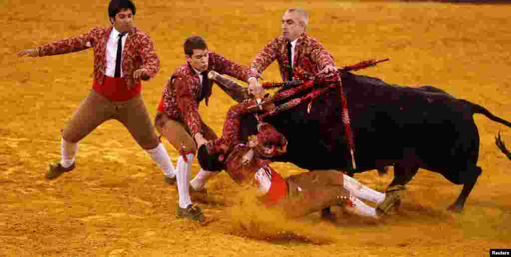 Members of Vila Franca forcados group perform during a bullfight at Campo Pequeno bullring in Lisbon, Portugal, April 13, 2019.