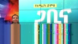 ጋቢና ቪኦኤ