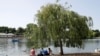 Planting Trees to Mitigate Global Warming