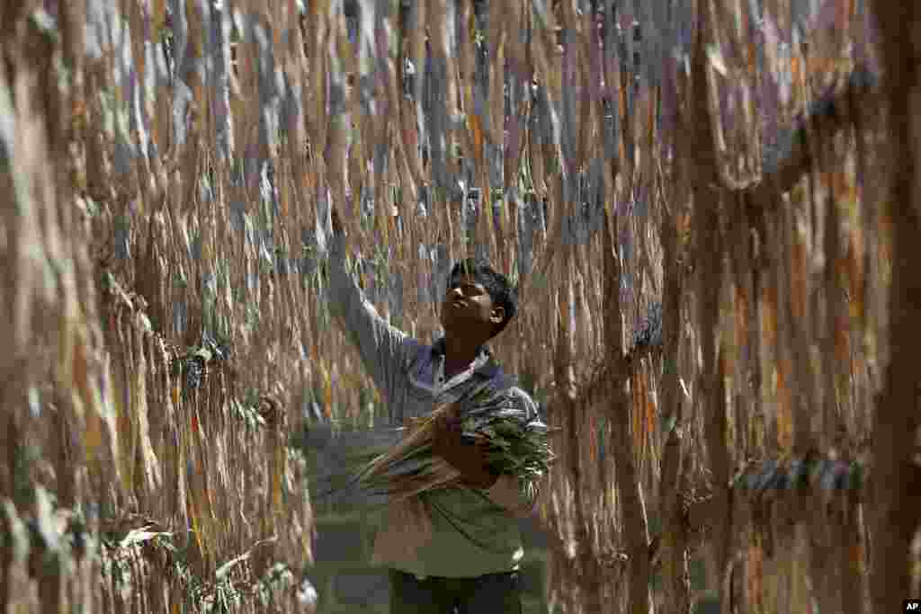 A worker dries salted fish in a coastal area on the outskirts of Karachi, Pakistan.