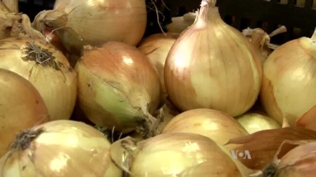 Community-Supported Agriculture Big Hit in the Big City