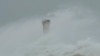 Heavy Rain, Winds Lash Tokyo as Powerful Typhoon Hits Japan