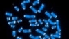 Gene Summit Organizers Stress Caution on Human Gene Editing