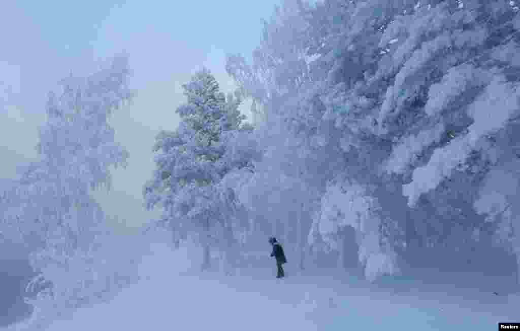 A woman walks in snow in a forest on the bank of the Yenisei River, with the air temperature at about minus 32° C (-25.6° F), near the Siberian city of Krasnoyarsk, Russia.