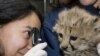 Crean reserva de criaturas raras